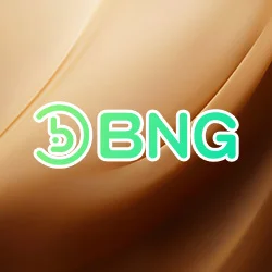 BNG電子
